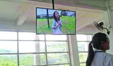 中国成人视频,内容、影响与监管视角